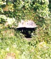 fuente vieja de herrán