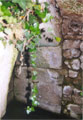 fuente antigua